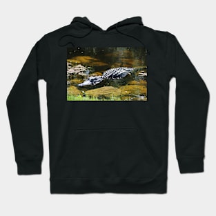 Large Gator in a Pond Hoodie